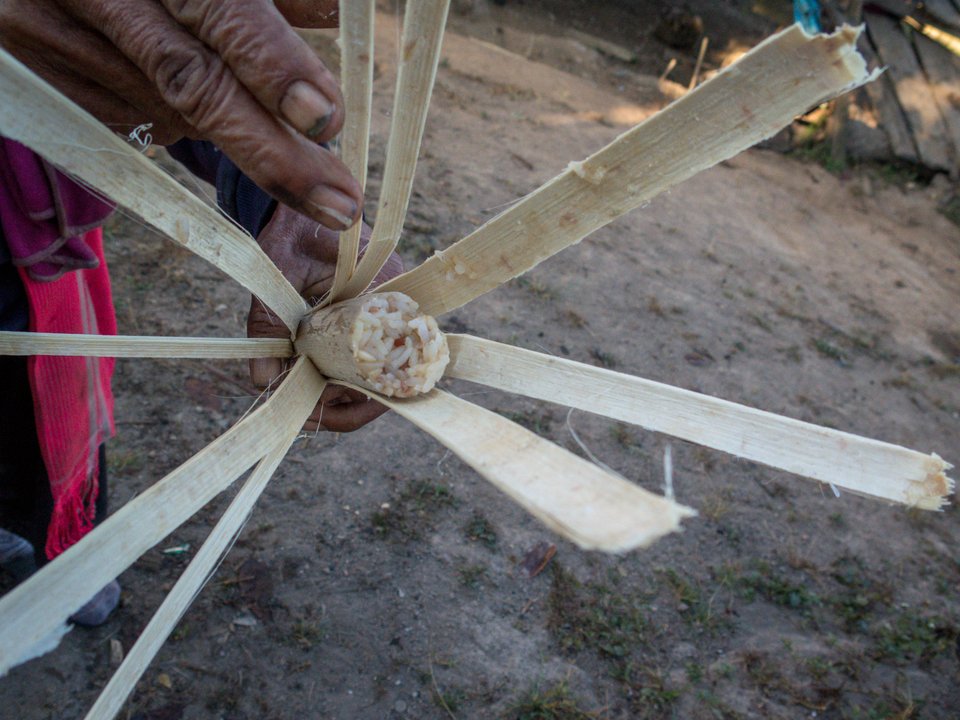 Khao Lam (Sticky rice roasted in bamboo)